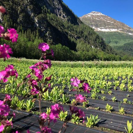 Apartmán Erholungswelt Lechrefugium Steeg Exteriér fotografie